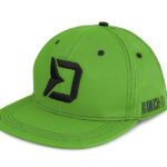 Sapka Delphin RAWER SnapBack