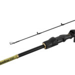 Delphin Zandera B-CAST