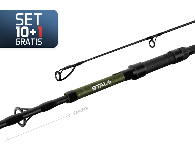 101006420 10+1 - Delphin STALX - Image 1