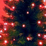 Home KII 50/R LED-es fényfüzér, 4 m / 50 db piros LED, állófényű, zöld vezeték, hálózati adapter, beltéri kivitel - Image 2