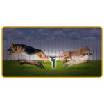 Home AR 01 állatriasztó karó, PIR mozgásérzékelő, ultrahang, fényjelzés, 13 - 60 kHz, napelem - Image 5