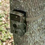 Home WILDCAM1 vadkamera, digitális fényképezőgép, time-lapse, PIR mozgásérzékelő, éjszakai mód, vízálló - Image 4