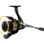 Delphin HORNET 20 / 3+1