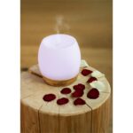 AROMA DIFFÚZOR Eta 263490000 - Image 2